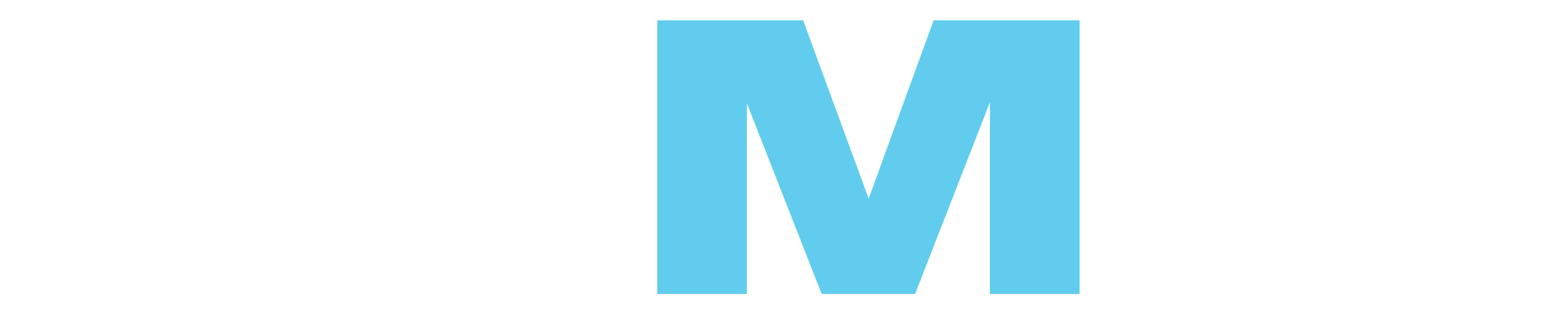 HIGH LEVEL MARKETING MANAGEMENT 